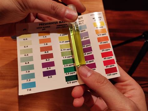 how to test water hardness in aquarium|fish ph levels chart.